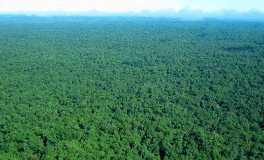 PAPUA NEW GUINEA