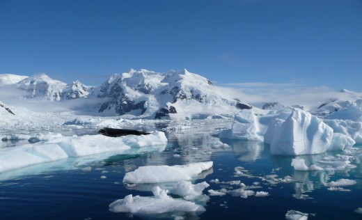 Endless Polar Landscapes & White Deserts on an Antarctic Expedition ...