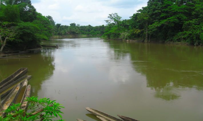 A rafting trip in Papua New Guinea through wild jungle corridors.